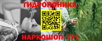 дмт Нягань