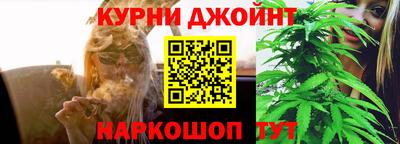 стаф Бузулук