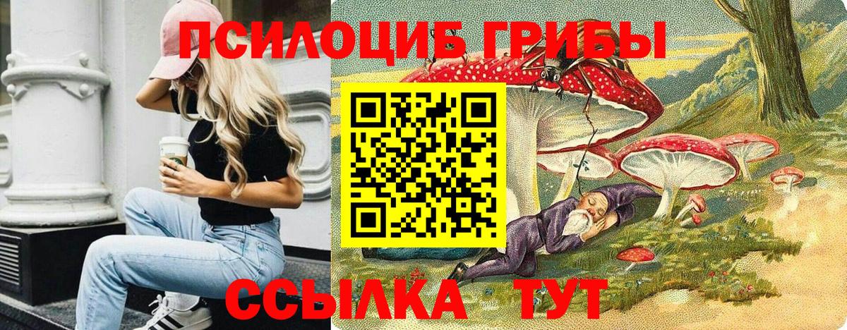 Псилоцибиновые грибы Psilocybe  Вход с VPN  Псилоцибиновые грибы MAGIC MUSHROOMS  цена   Чебоксары 